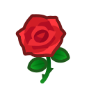 red rose