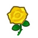 yellow rose