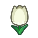 tulip