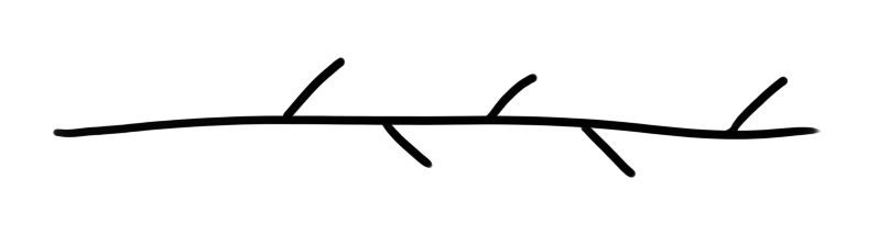 diagram of a straight line with several short dead ends splitting off from it
